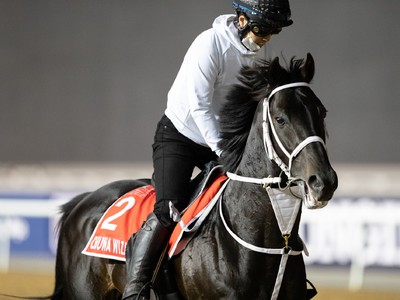 Group 1 $12m Dubai World Cup Sponsored By Emirates Airline Image 1